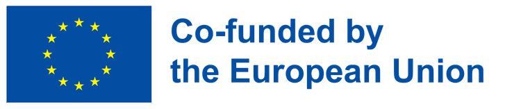 co-founded by the european union